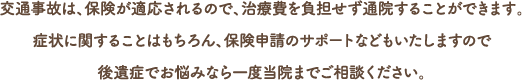 交通事故は、保険が適応されるので、治療費を負担せず通院することができます。
症状に関することはもちろん、保険申請のサポートなどもいたしますので後遺症でお悩みなら一度当院までご相談ください。